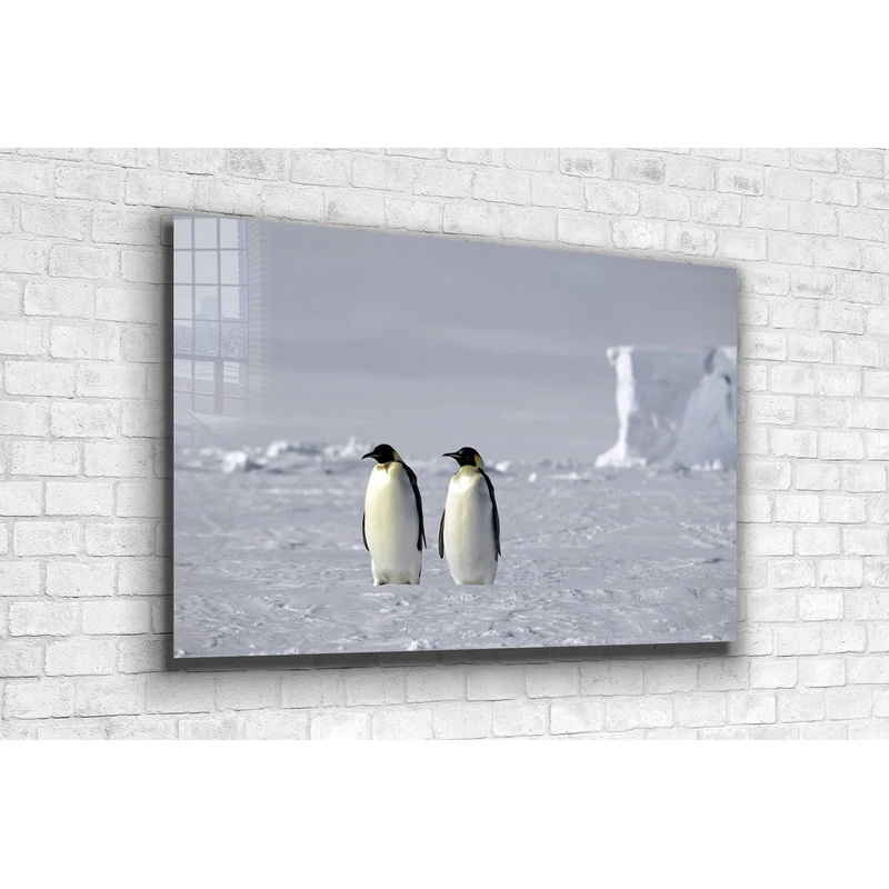 Penguins on Ice Field UV Direct Aluminum Print Australian Made Quality