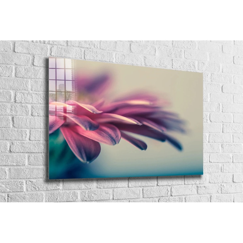 Pink Petals Closeup UV Direct Aluminum Print Australian Made Quality
