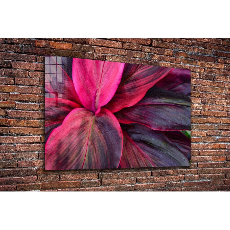 Purple Pink Leaves View UV Direct Aluminum Print Australian Made Quality