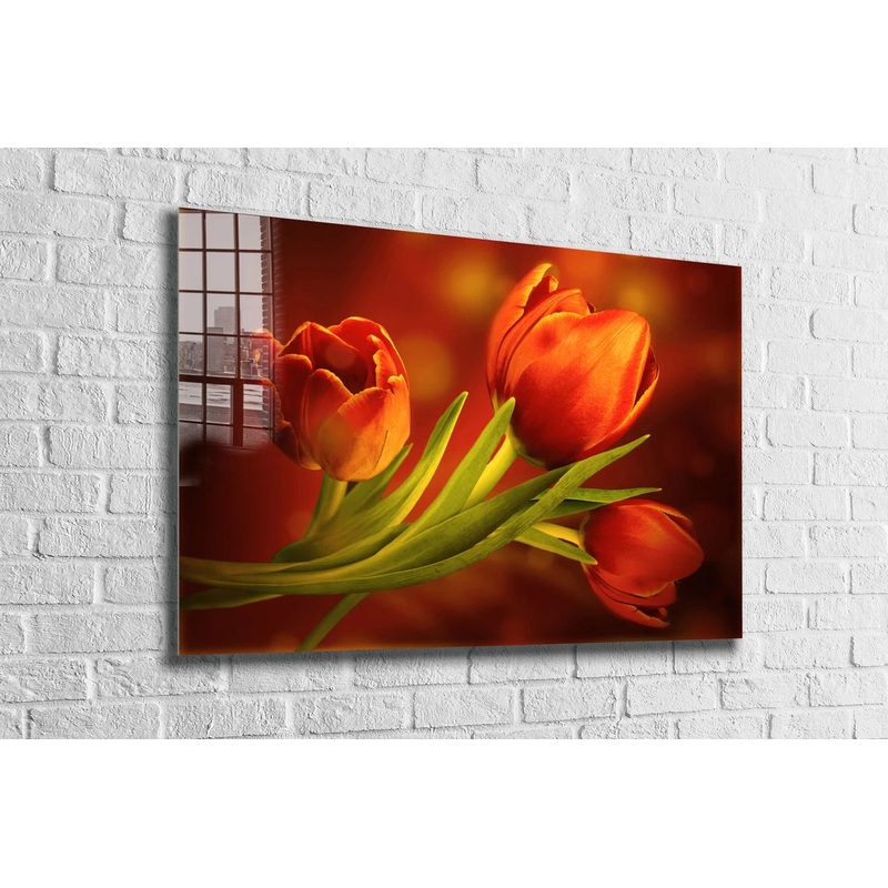 Red Orange Tulips View UV Direct Aluminum Print Australian Made Quality