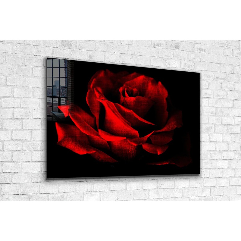 Red Rose Closeup Dark UV Direct Aluminum Print Australian Made Quality
