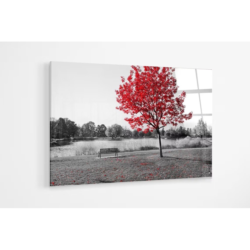 Red tree in a black and white park UV Direct Aluminum Print Australian Made Quality