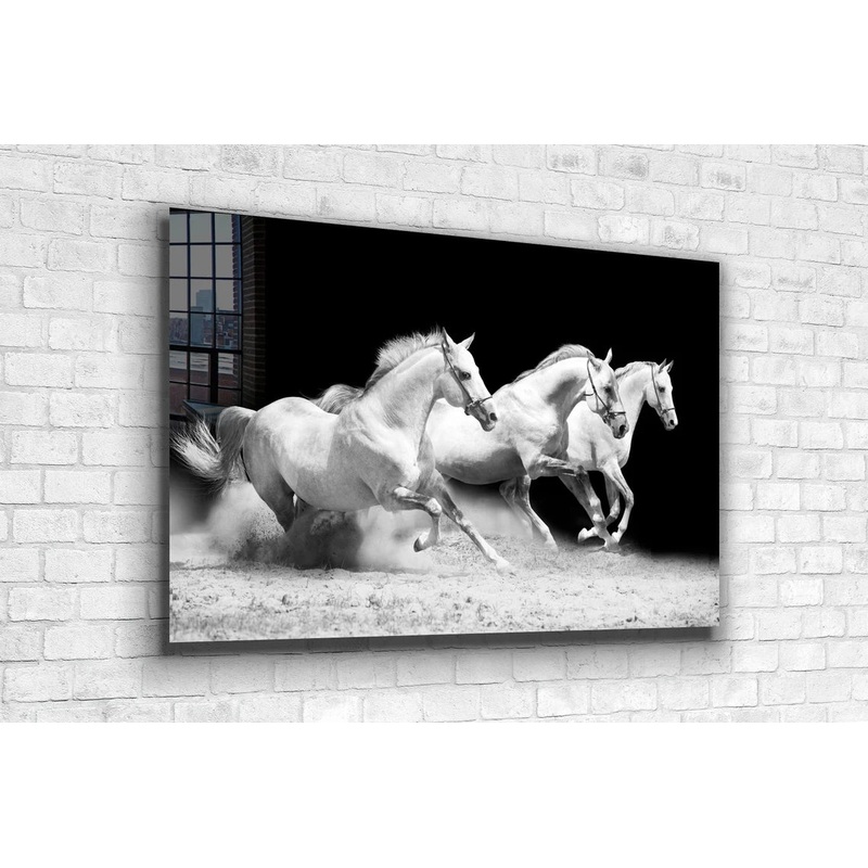 Running Horses B&W View UV Direct Aluminum Print Australian Made Quality