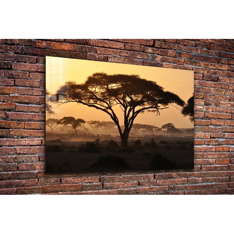 Savannah Forest Sunset UV Direct Aluminum Print Australian Made Quality