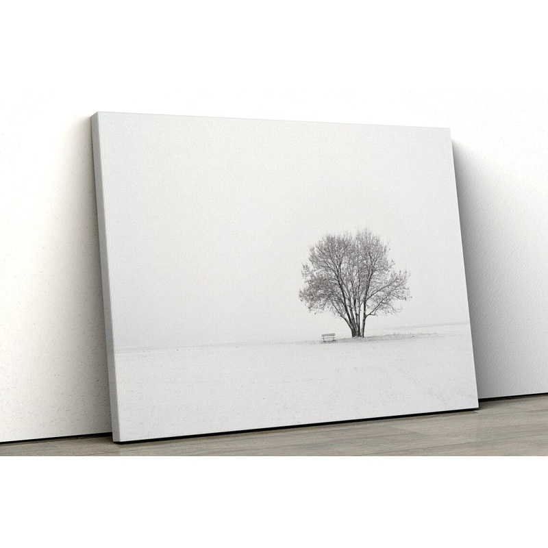 Trees in winter snow UV Direct Aluminum Print Australian Made Quality