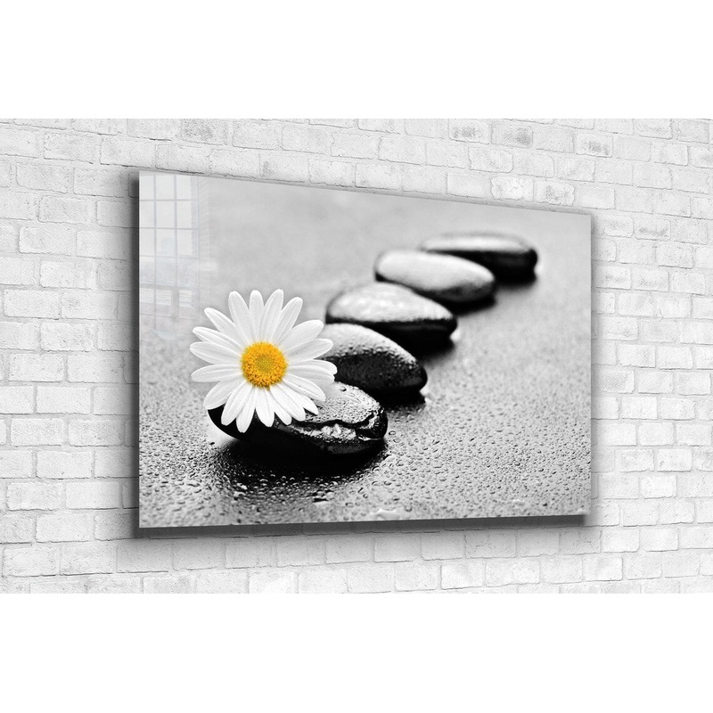 White Daisy & Stone UV Direct Aluminum Print Australian Made Quality
