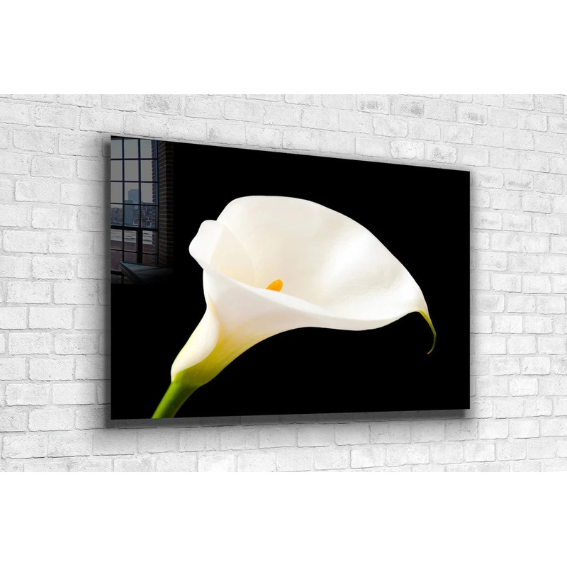 White Lily on Dark View UV Direct Aluminum Print Australian Made Quality