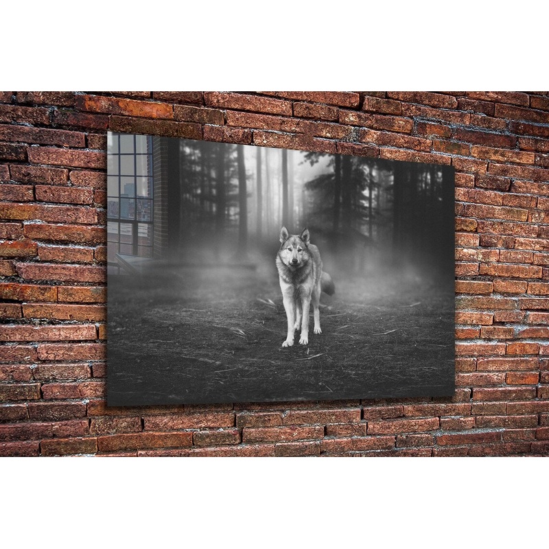 Wolf in Forest B&W UV Direct Aluminum Print Australian Made Quality