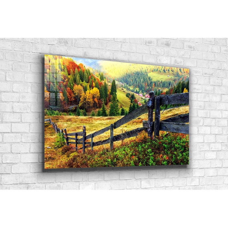 Woodland Autumn Forest UV Direct Aluminum Print Australian Made Quality