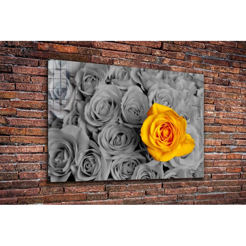 Yellow Rose B&W Roses UV Direct Aluminum Print Australian Made Quality