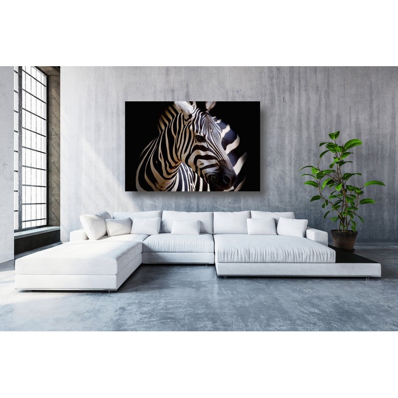 African Zebra UV Direct Aluminum Print Australian Made Quality