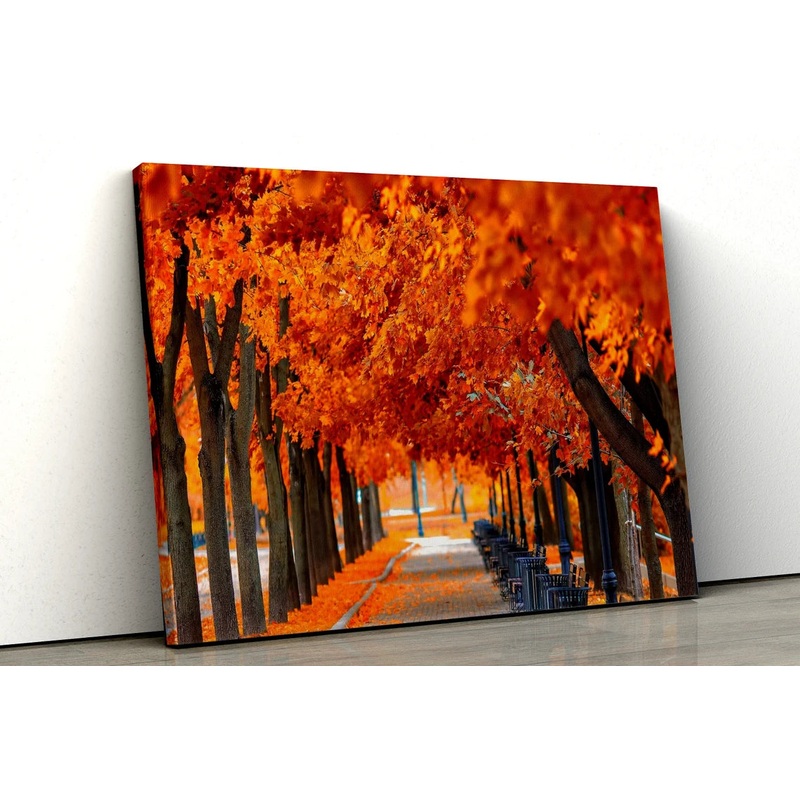 Autumn Forest orange trees with path UV Direct Aluminum Print Australian Made Quality