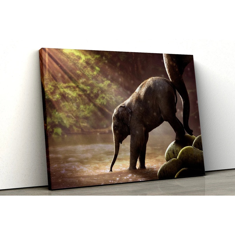 Baby Elephant in river UV Direct Aluminum Print Australian Made Quality