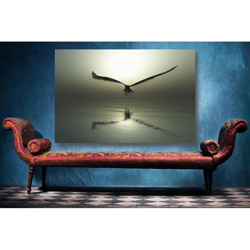 Eagle In Flight UV Direct Aluminum Print Australian Made Quality