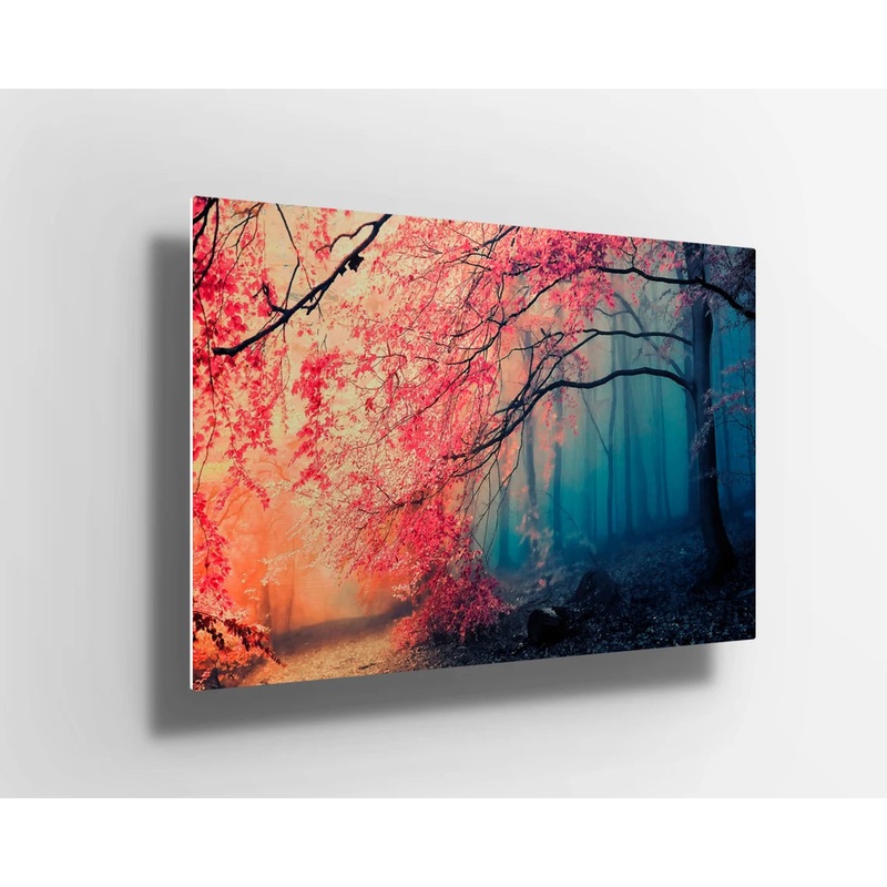 Fantasy Forest trees fairy tale UV Direct Aluminum Print Australian Made Quality