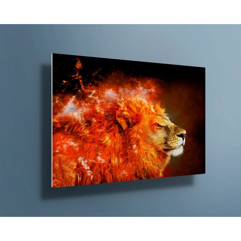 Large Lion with fire UV Direct Aluminum Print Australian Made Quality