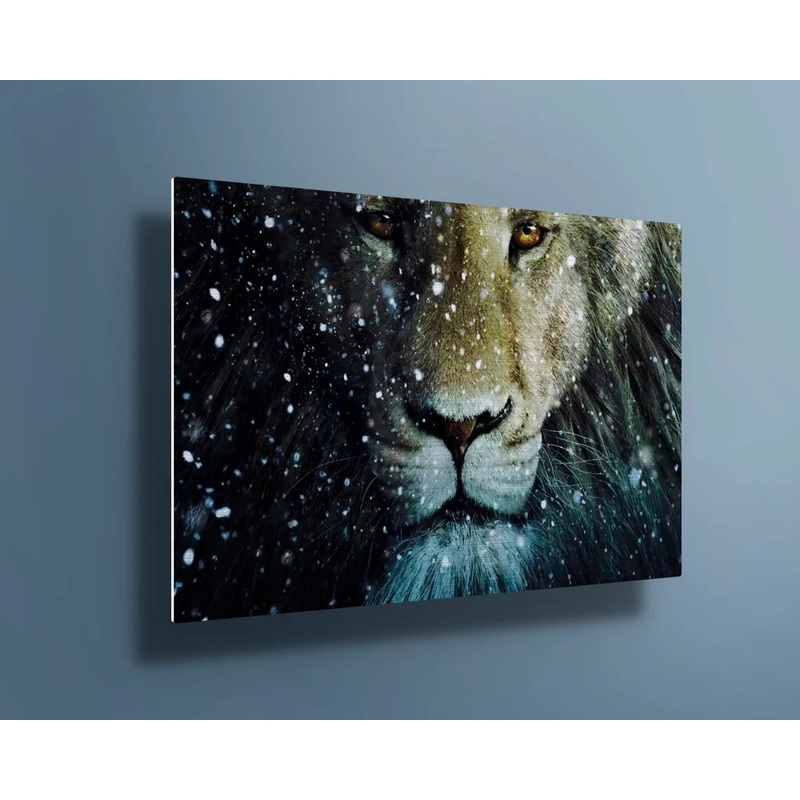 Large Lion with snow UV Direct Aluminum Print Australian Made Quality