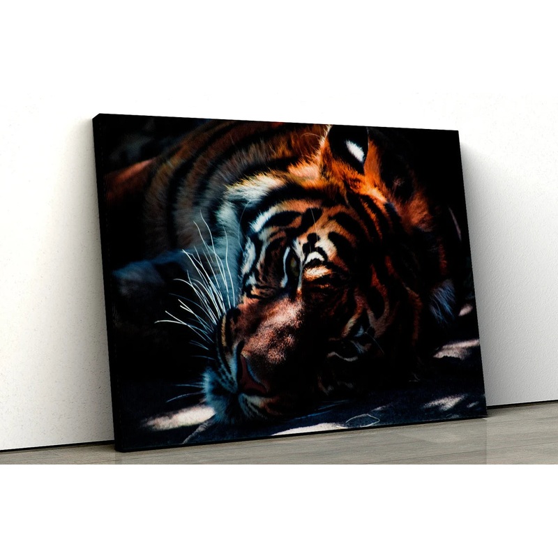Large Tiger cat color animal UV Direct Aluminum Print Australian Made Quality