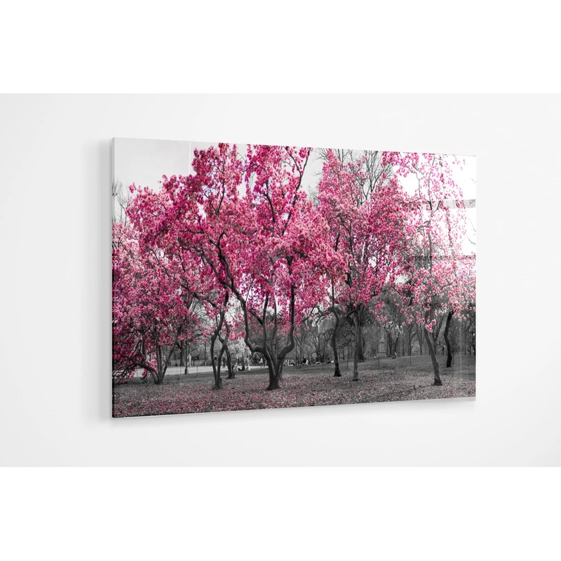 Pink black and white Tree Forest Park UV Direct Aluminum Print Australian Made Quality