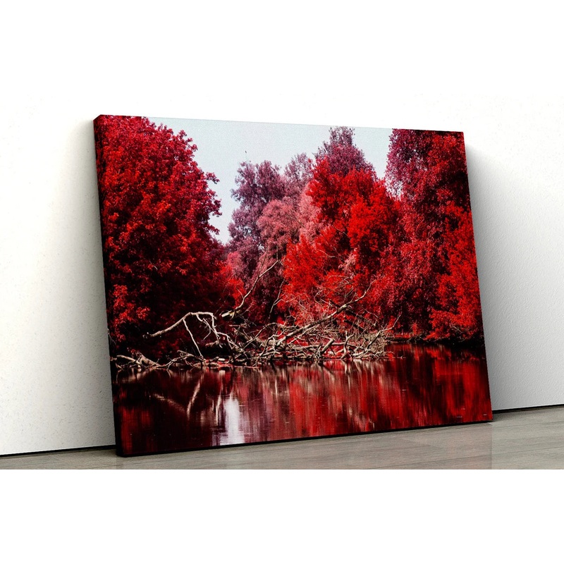 Red tree black and white forest river UV Direct Aluminum Print Australian Made Quality