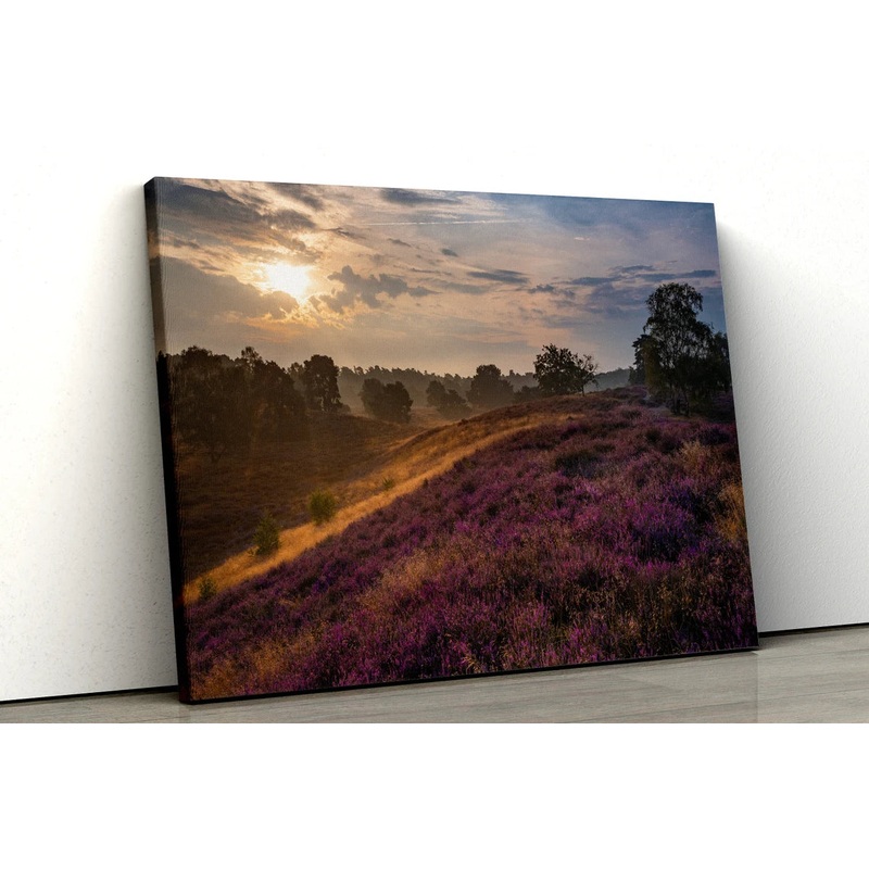 Sunrise with purple flowers Scene UV Direct Aluminum Print Australian Made Quality