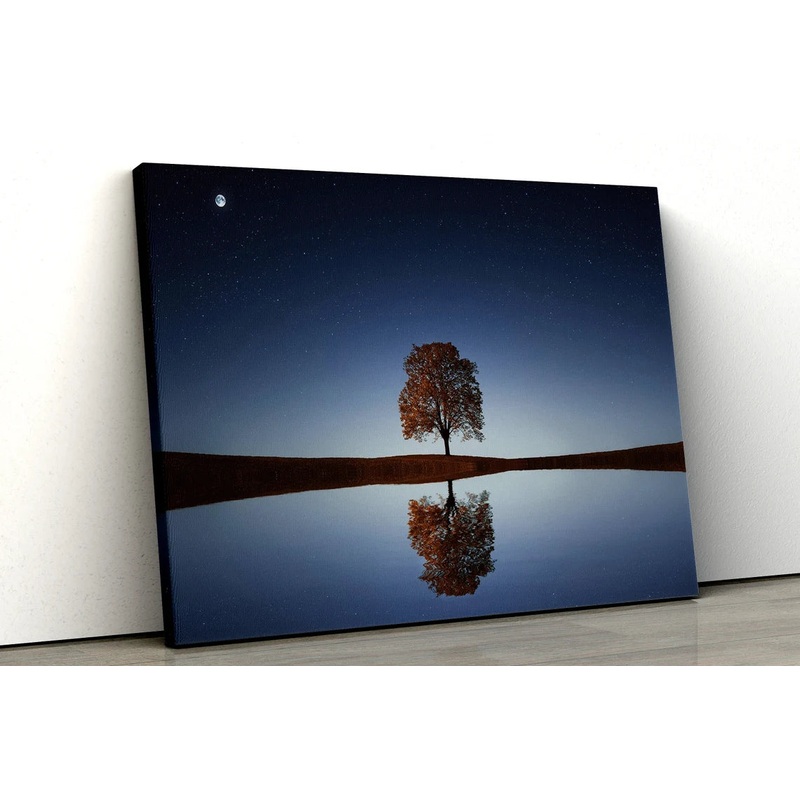 Tree with river reflection Scene UV Direct Aluminum Print Australian Made Quality