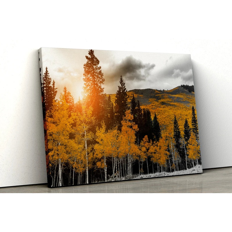 Yellow trees black and white forest UV Direct Aluminum Print Australian Made Quality