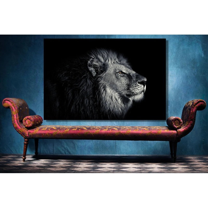 African Lion UV Direct Aluminum Print Australian Made Quality