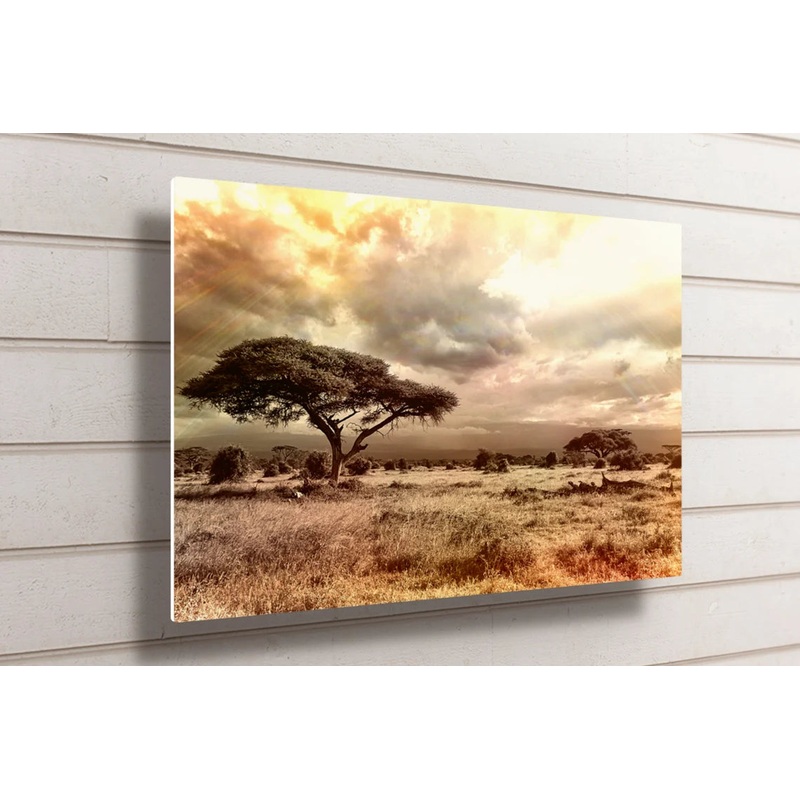 African Savannah Sunset UV Direct Aluminum Print Australian Made Quality