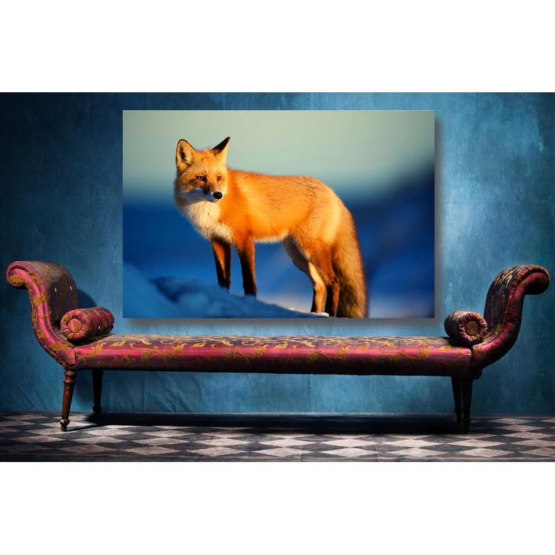 Arctic Fox Wall Art UV Direct Aluminum Print Australian Made Quality