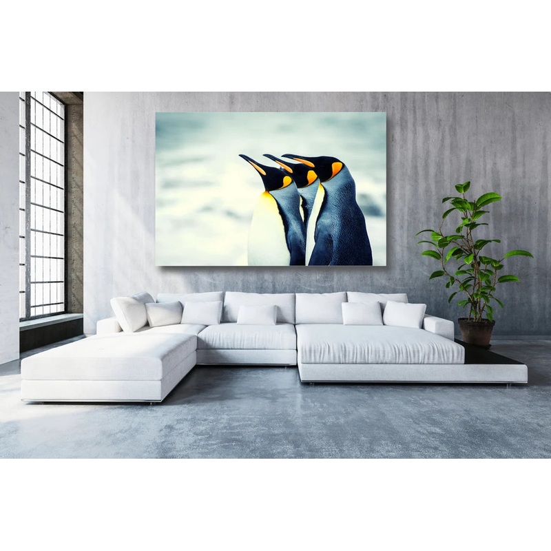 Arctic Penguins Wall Art UV Direct Aluminum Print Australian Made Quality