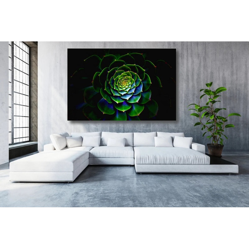 Cactus Wall Art UV Direct Aluminum Print Australian Made Quality