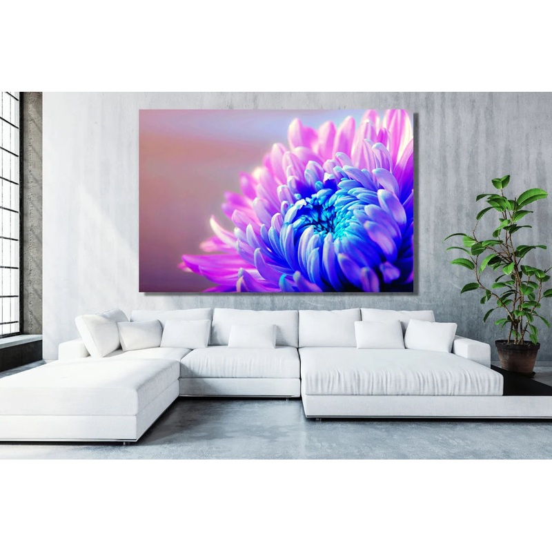 Chrysanthemum Flower UV Direct Aluminum Print Australian Made Quality