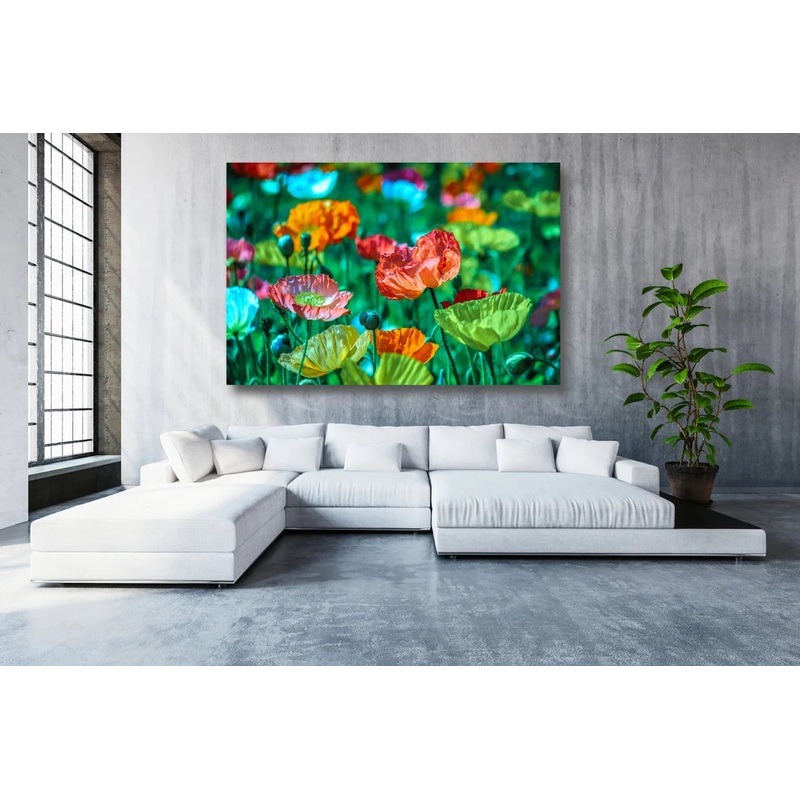 Colorful Poppy Field UV Direct Aluminum Print Australian Made Quality