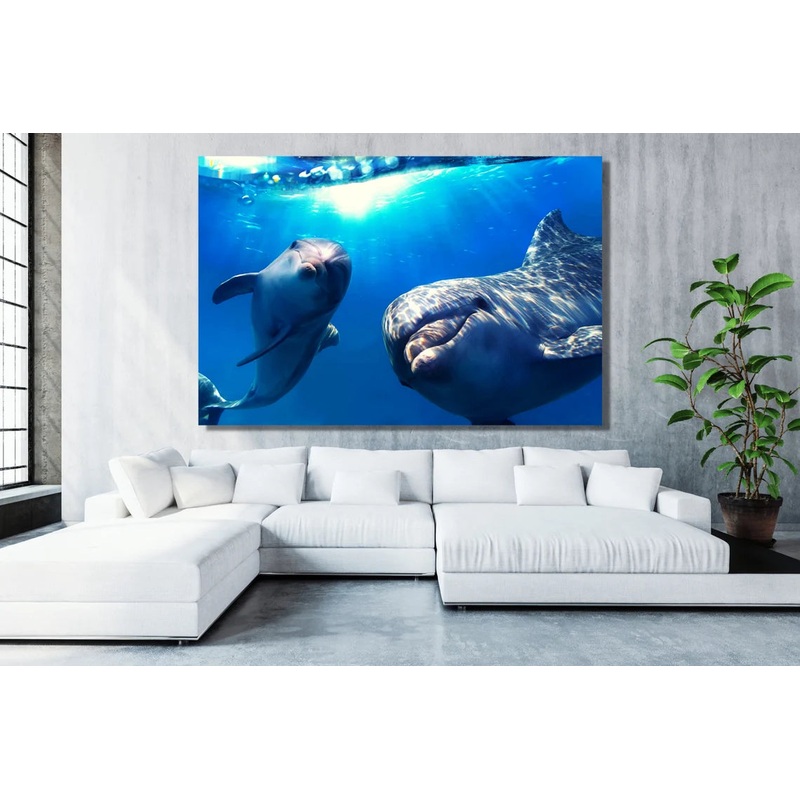 Dolphins Wall Art UV Direct Aluminum Print Australian Made Quality