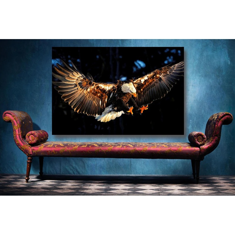 Eagle In Flight Wall Art UV Direct Aluminum Print Australian Made Quality