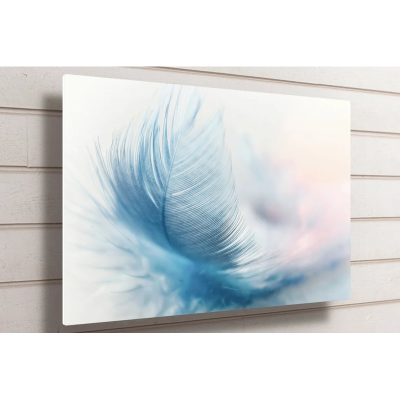Feather Wall Art UV Direct Aluminum Print Australian Made Quality
