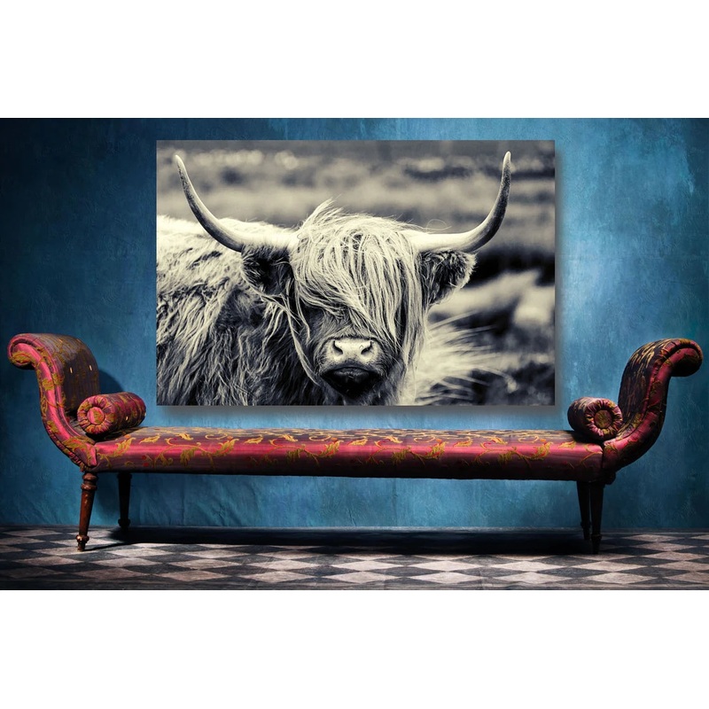 Highland Cow Wall Art UV Direct Aluminum Print Australian Made Quality