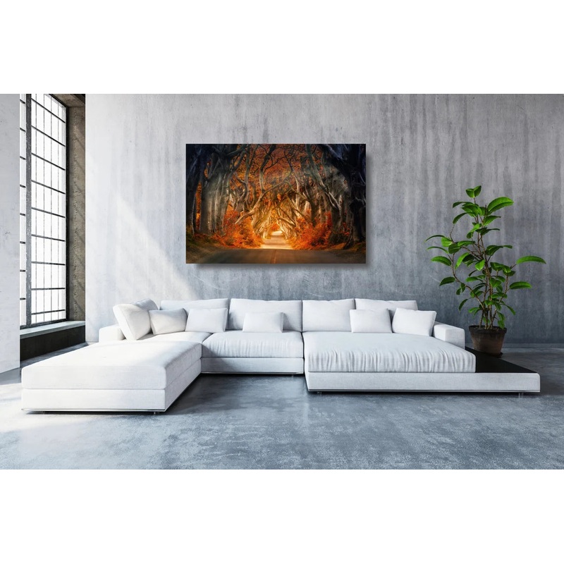 Ireland The Dark Hedges UV Direct Aluminum Print Australian Made Quality