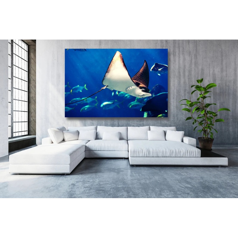 Manta Ray UV Direct Aluminum Print Australian Made Quality