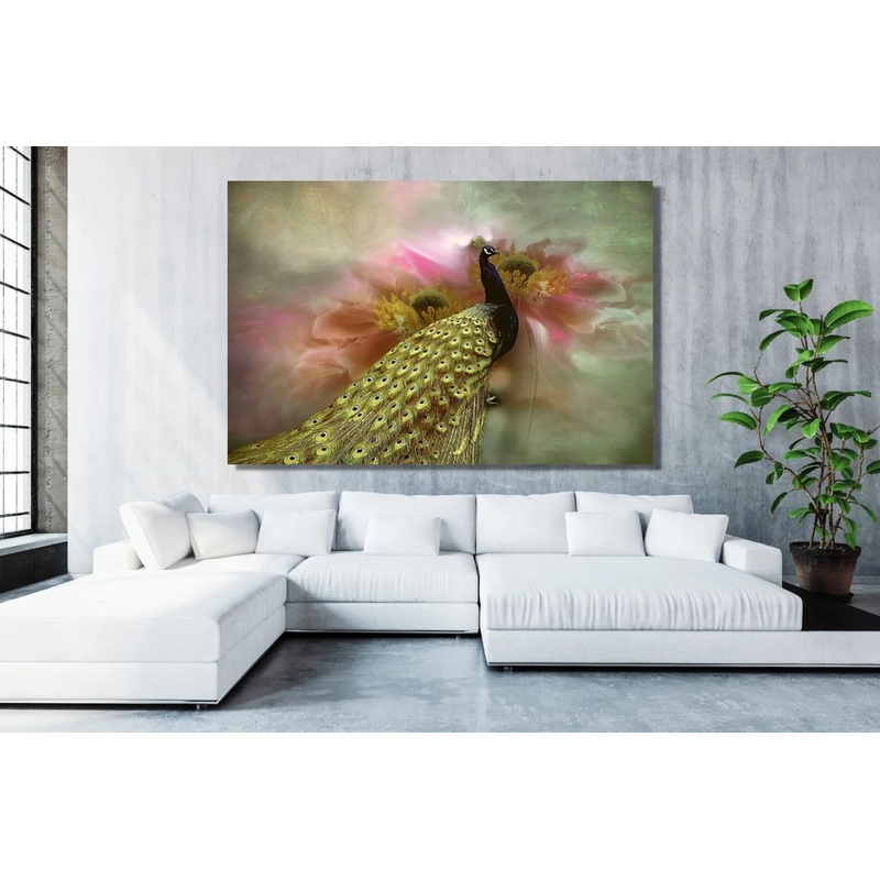 Peacock Wall Art UV Direct Aluminum Print Australian Made Quality