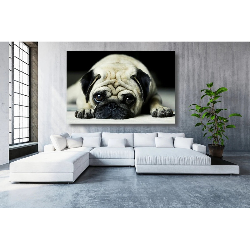 Pug Dog Wall Art UV Direct Aluminum Print Australian Made Quality