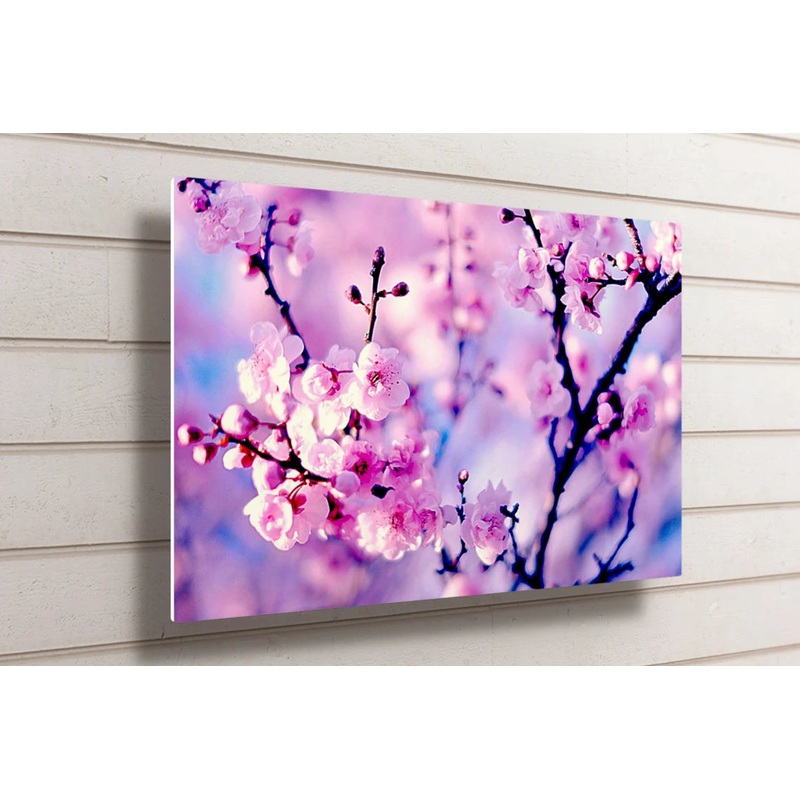 Purple Cherry Blossom Flower UV Direct Aluminum Print Australian Made Quality