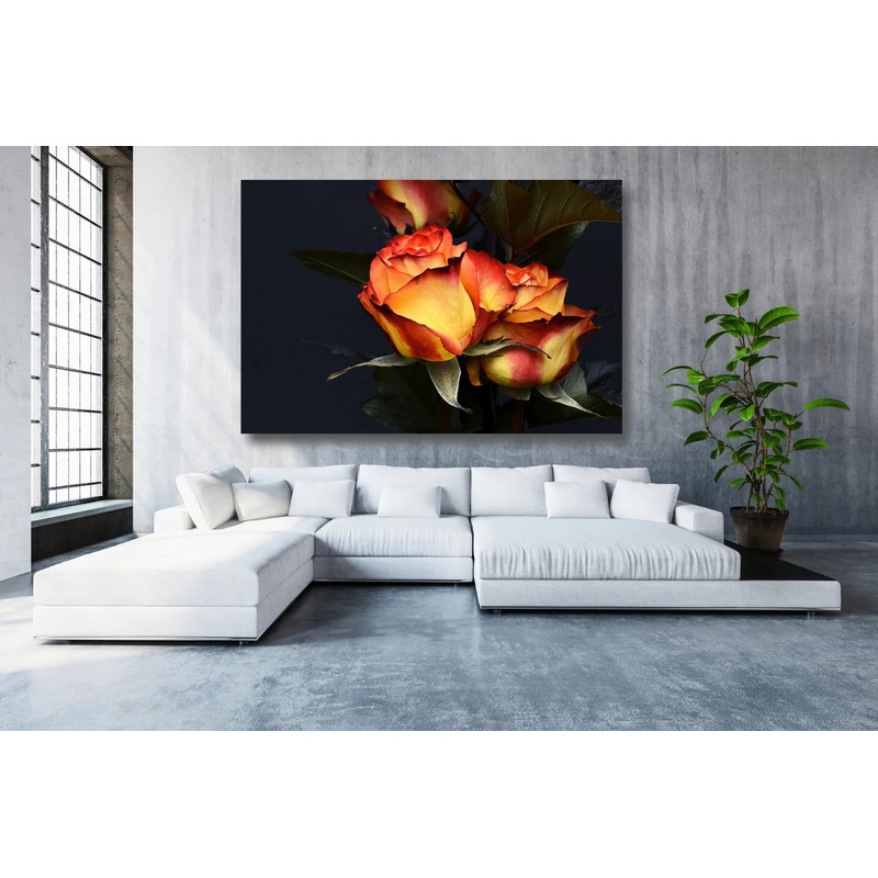 Rose Flower Wall Art UV Direct Aluminum Print Australian Made Quality