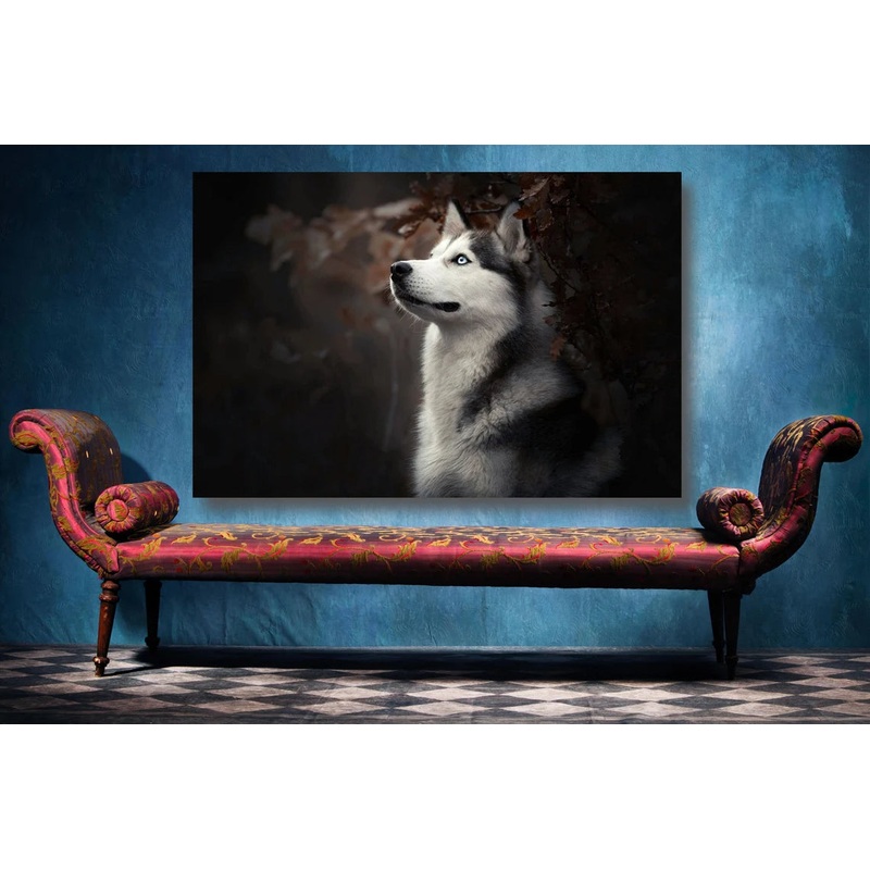 Siberian Husky Wall Art UV Direct Aluminum Print Australian Made Quality