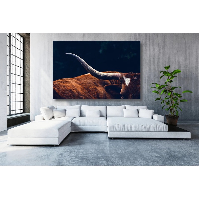 Texas Longhorn Cow UV Direct Aluminum Print Australian Made Quality