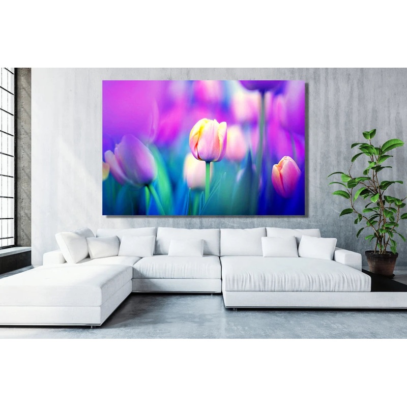 Tulip Flower UV Direct Aluminum Print Australian Made Quality