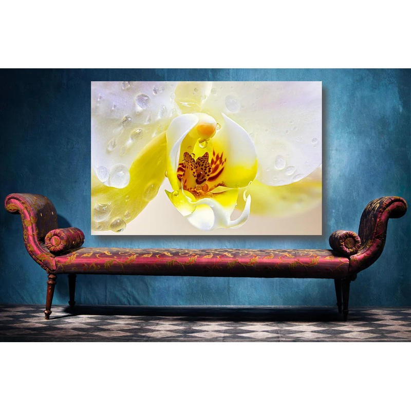 Yellow Orchid Flower UV Direct Aluminum Print Australian Made Quality