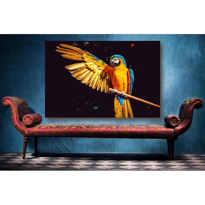 Yellow Parrot Wall Art UV Direct Aluminum Print Australian Made Quality